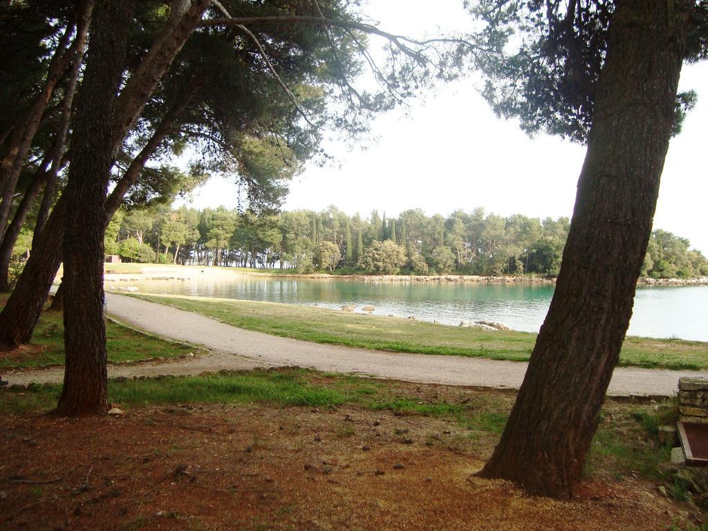 Apartment Venus 13 Ρόβινι Εξωτερικό φωτογραφία